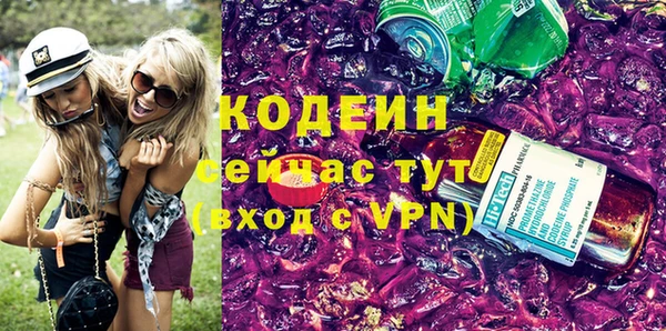 дживик Пересвет