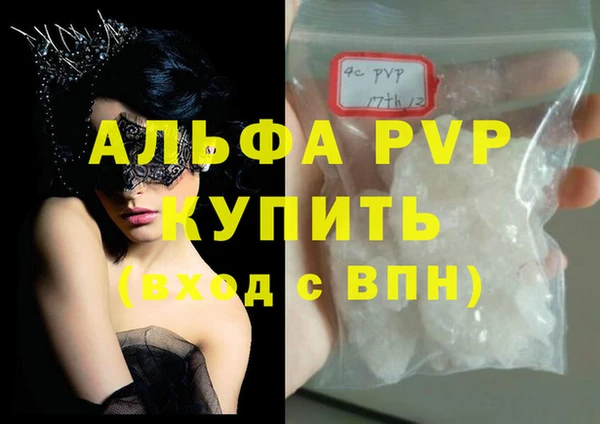 дживик Пересвет