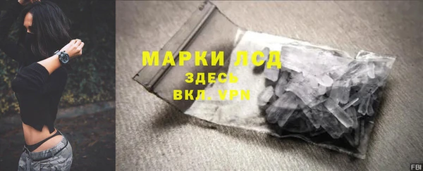 дживик Пересвет