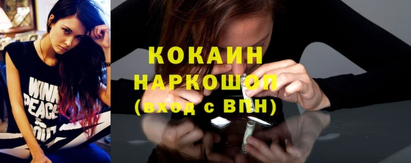 дживик Пересвет