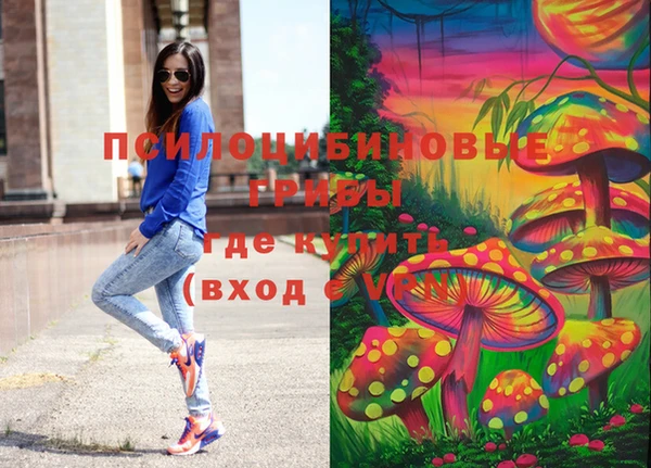 прущая мука Переславль-Залесский