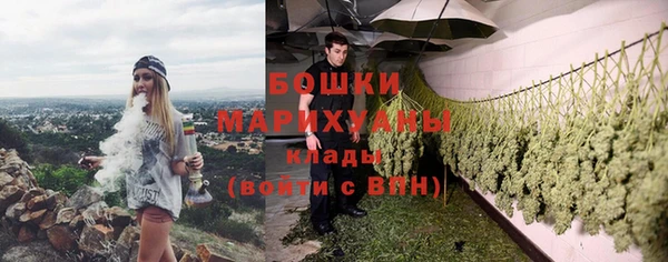 дживик Пересвет