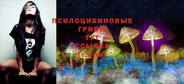 MDMA Пестово