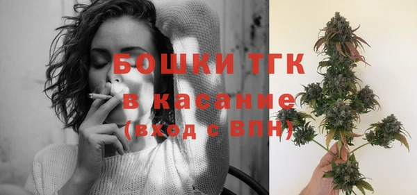 дживик Пересвет